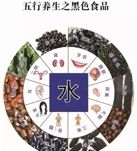 五行属水的食物|五行五色食品